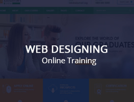 online digitalfusion training in ameerpet